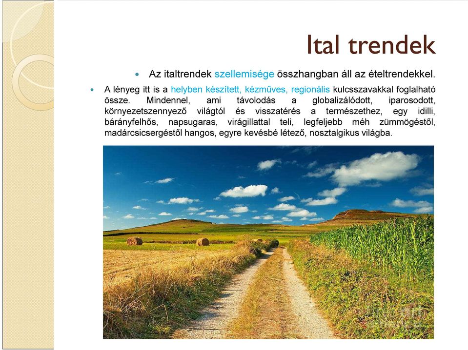 Mindennel, ami távolodás a globalizálódott, iparosodott, környezetszennyező világtól és visszatérés a