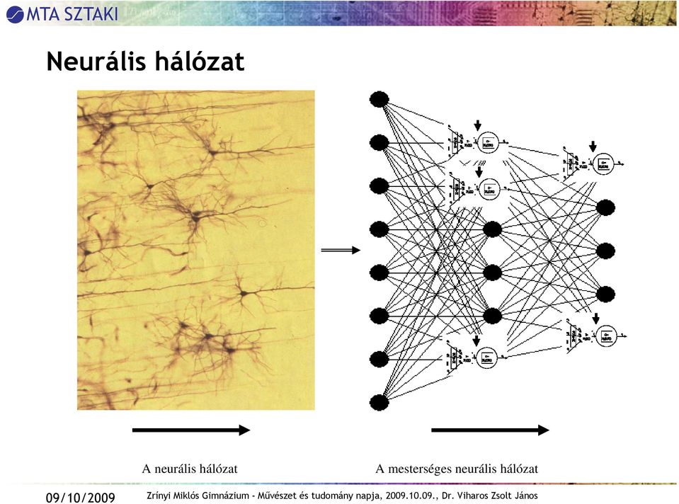 hálózat A