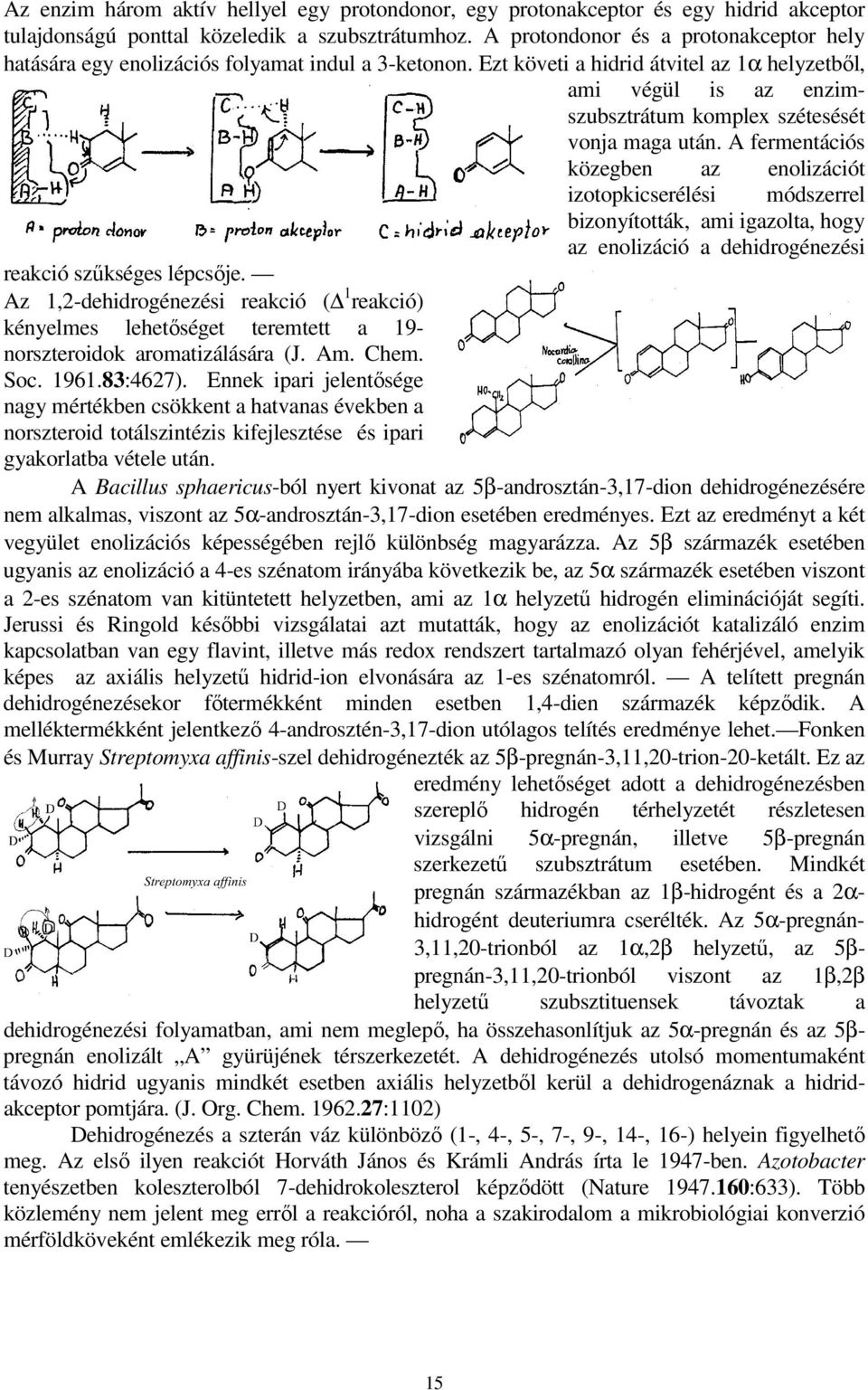 Ezt követi a hidrid átvitel az 1α helyzetből, ami végül is az enzimszubsztrátum komplex szétesését vonja maga után.