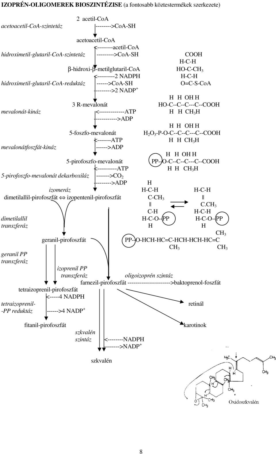 HO-C--C--C---C--COOH mevalonát-kináz <-------------ATP H H CH 3 H ------------>ADP H H OH H 5-foszfo-mevalonát H 2 O 3 -P-O-C--C--C---C--COOH <-------ATP H H CH 3 H mevalonátfoszfát-kináz ------>ADP