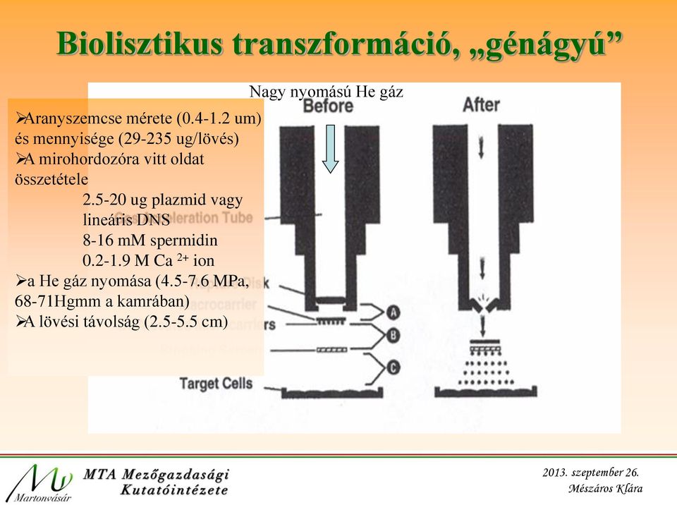 5-20 ug plazmid vagy lineáris DNS 8-16 mm spermidin 0.2-1.