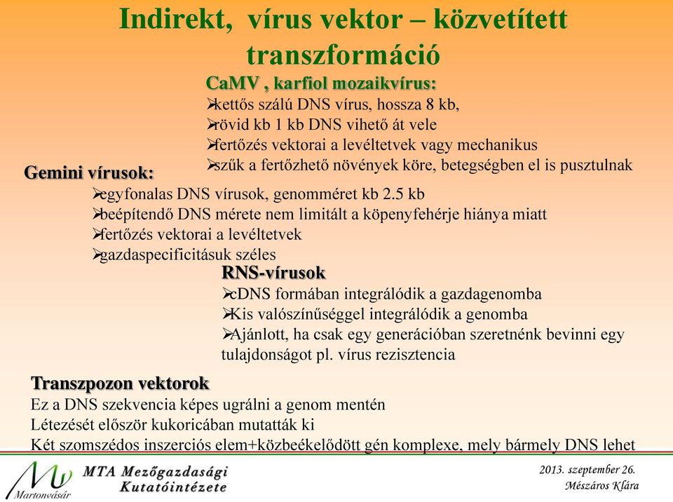 5 kb beépítendő DNS mérete nem limitált a köpenyfehérje hiánya miatt fertőzés vektorai a levéltetvek gazdaspecificitásuk széles RNS-vírusok cdns formában integrálódik a gazdagenomba Kis