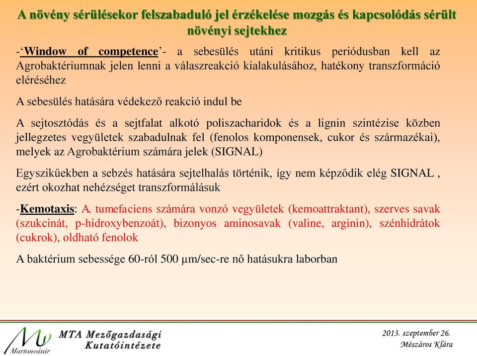 jellegzetes vegyületek szabadulnak fel (fenolos komponensek, cukor és származékai), melyek az Agrobaktérium számára jelek (SIGNAL) Egyszikűekben a sebzés hatására sejtelhalás történik, így nem