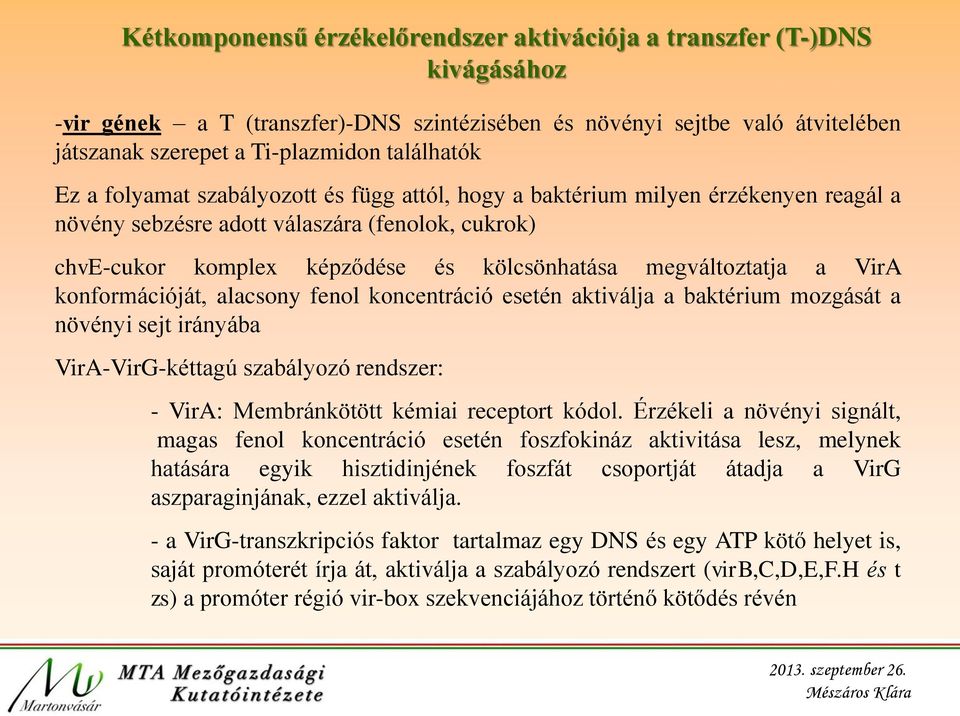 VirA konformációját, alacsony fenol koncentráció esetén aktiválja a baktérium mozgását a növényi sejt irányába VirA-VirG-kéttagú szabályozó rendszer: - VirA: Membránkötött kémiai receptort kódol.