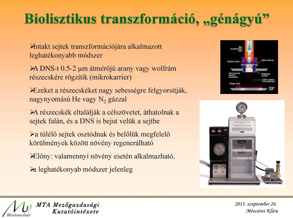 nagynyomású He vagy N 2 gázzal A részecskék eltalálják a célszövetet, áthatolnak a sejtek falán, és a DNS is bejut velük a sejtbe a