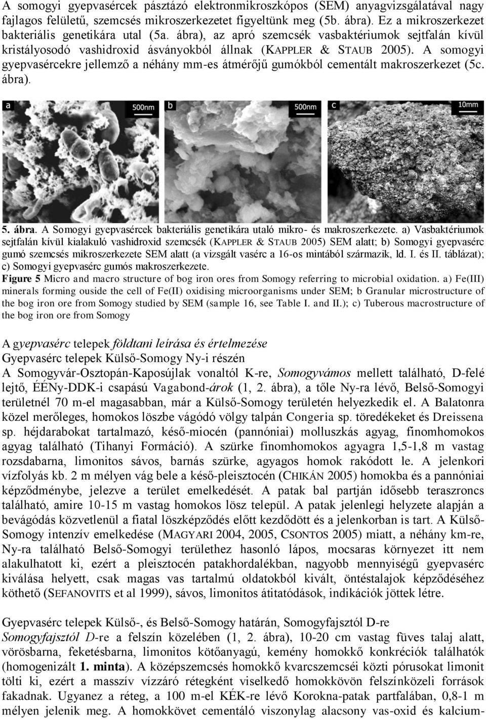 A somogyi gyepvasércekre jellemző a néhány mm-es átmérőjű gumókból cementált makroszerkezet (5c. ábra). 5. ábra. A Somogyi gyepvasércek bakteriális genetikára utaló mikro- és makroszerkezete.