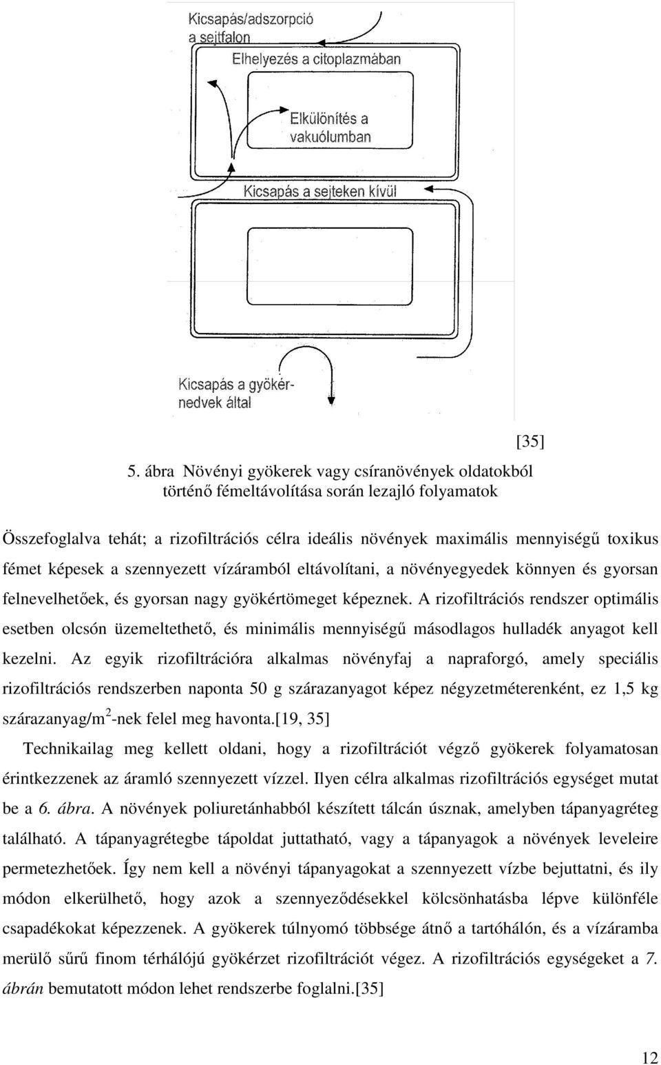 A rizofiltrációs rendszer optimális esetben olcsón üzemeltethető, és minimális mennyiségű másodlagos hulladék anyagot kell kezelni.