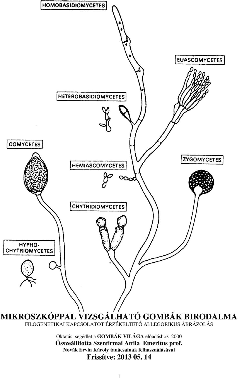 MIKROSZKÓPPAL VIZSGÁLHATÓ GOMBÁK BIRODALMA FILOGENETIKAI KAPCSOLATOT  ÉRZÉKELTETŐ ALLEGORIKUS ÁBRÁZOLÁS - PDF Ingyenes letöltés