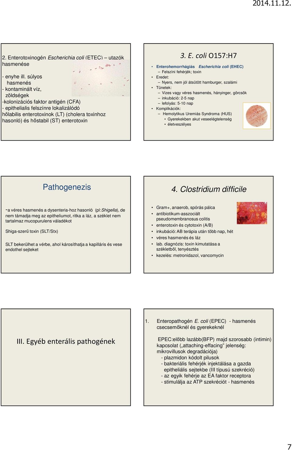 enterotoxin 3. E.