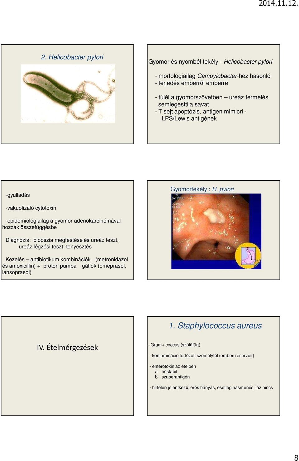 pylori -vakuolizáló cytotoxin -epidemiológiailag a gyomor adenokarcinómával hozzák összefüggésbe Diagnózis: biopszia megfestése és ureáz teszt, ureáz légzési teszt, tenyésztés Kezelés antibiotikum