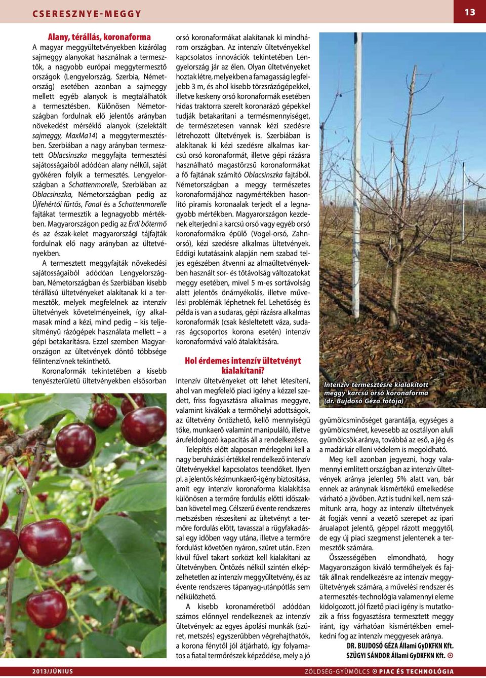 Zöldség-Gyümölcs. Piac és Technológia XVII. ÉVFOLYAM, 6. SZÁM június - PDF  Ingyenes letöltés