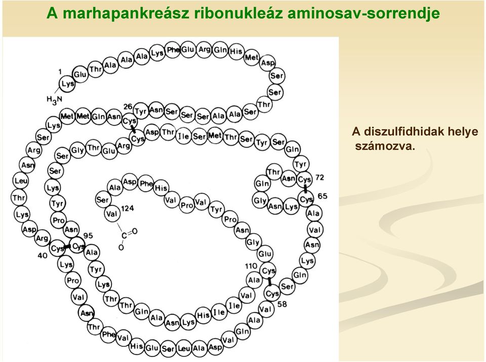 aminosav-sorrendje