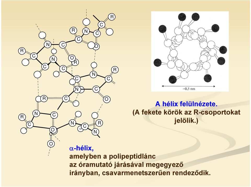 járásával megegyező irányban, csavarmenetszerűen rendeződik.