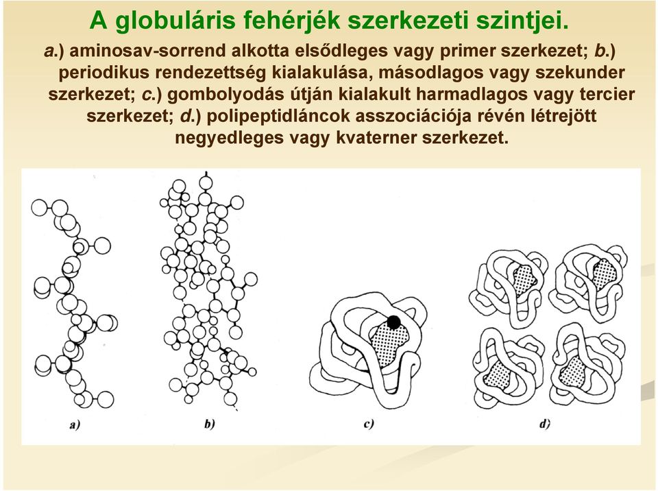 ) periodikus rendezettség kialakulása, másodlagos vagy szekunder szerkezet; c.