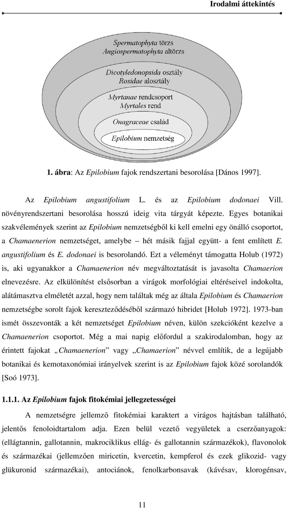 Egyes botanikai szakvélemények szerint az Epilobium nemzetségből ki kell emelni egy önálló csoportot, a Chamaenerion nemzetséget, amelybe hét másik fajjal együtt- a fent említett E.