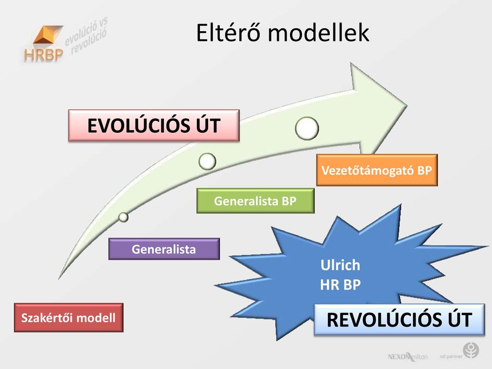 BP Szakértői modell