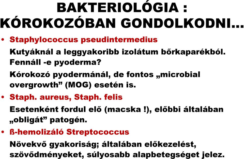 Kórokozó pyodermánál, de fontos microbial overgrowth (MOG) esetén is. Staph. aureus, Staph.