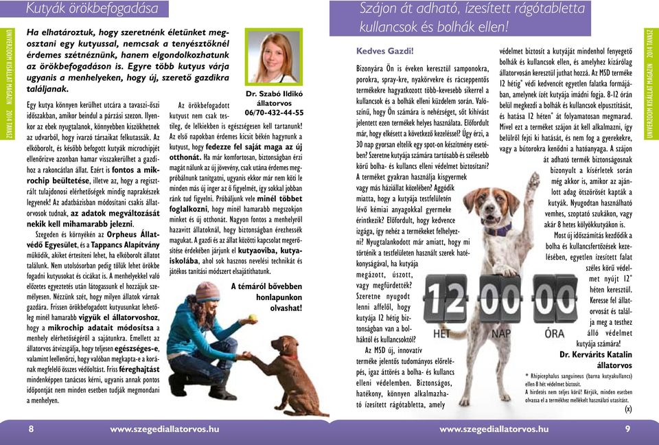 Ilyenkor az ebek nyugtalanok, könnyebben kiszökhetnek az udvarból, hogy ivarzó társaikat felkutassák.