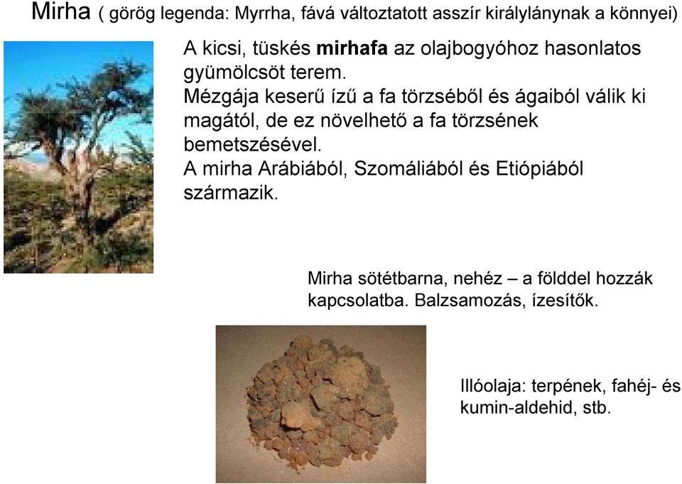 Mézgája keserű ízű a fa törzséből és ágaiból válik ki magától, de ez növelhető a fa törzsének bemetszésével.