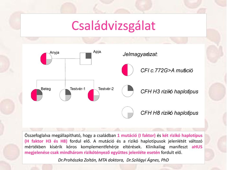 rizikó haplotípus (H faktor H3 és H8) fordul elő.