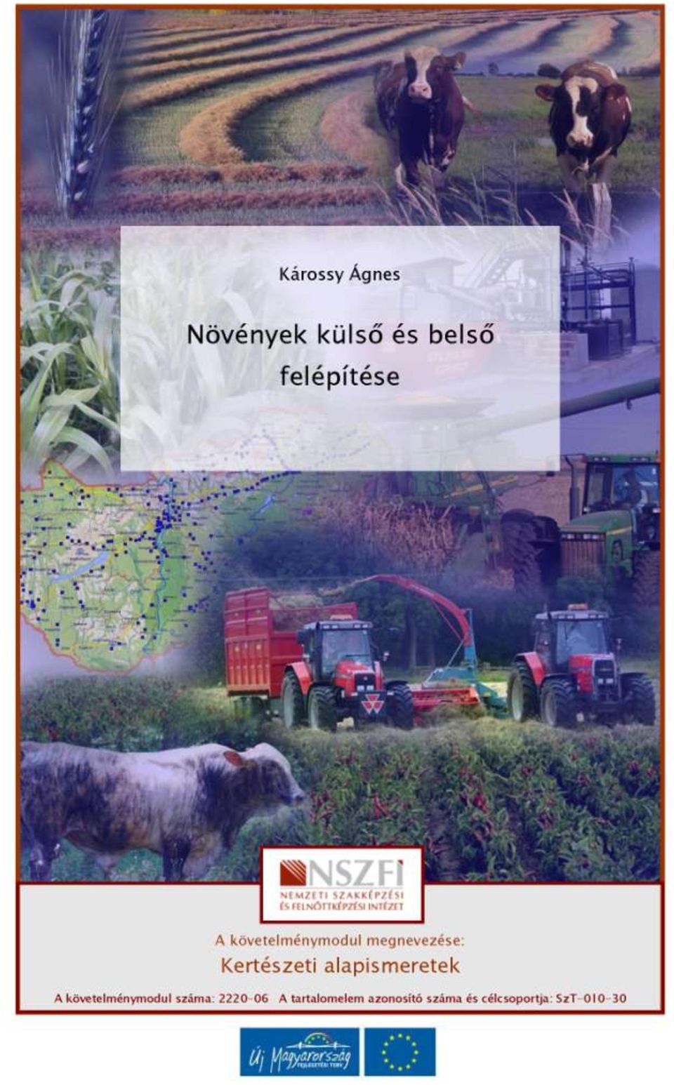 NÖVÉNYEK KÜLSŐ ÉS BELSŐ FELÉPÍTÉSE - PDF Free Download