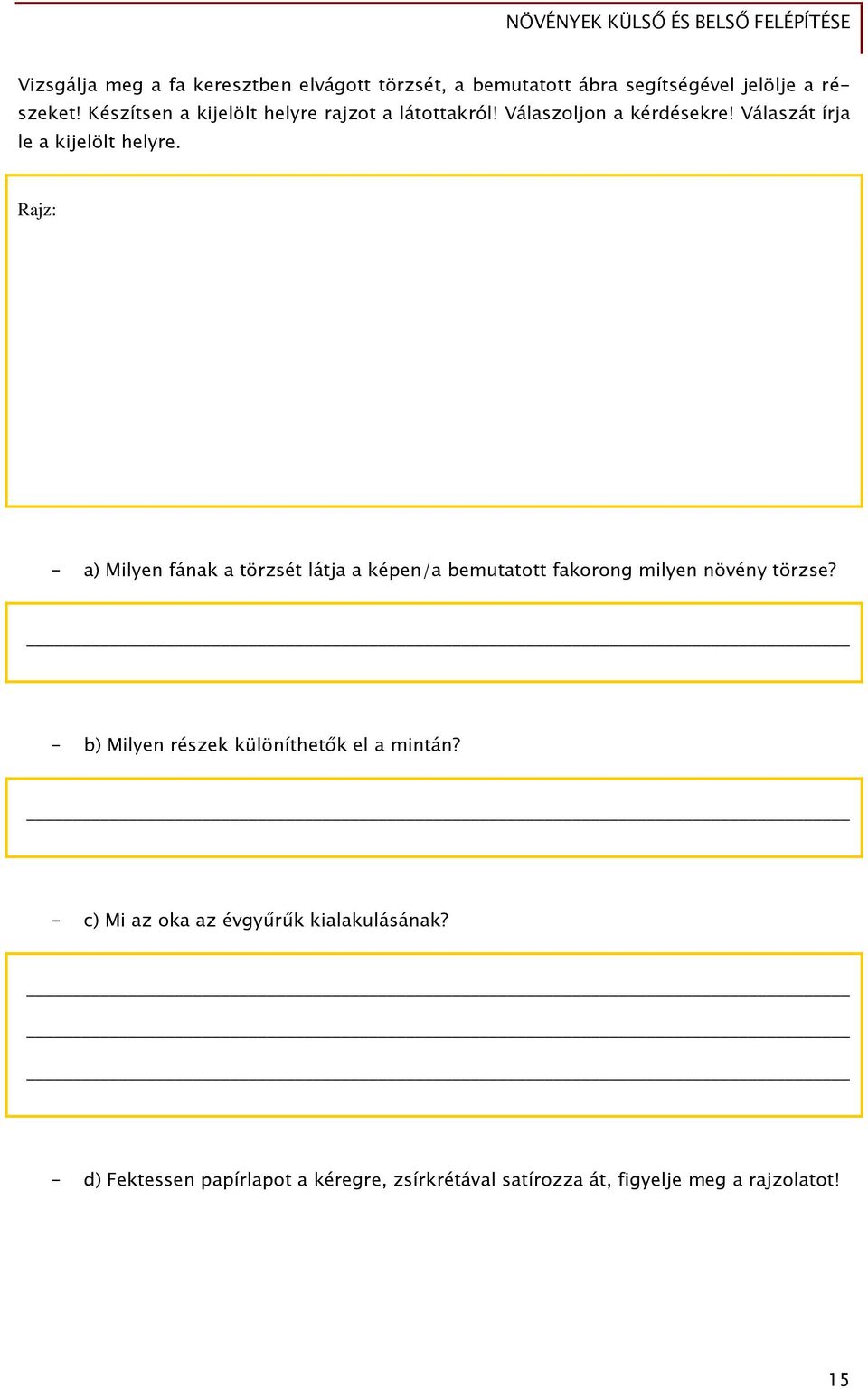 Rajz: - a) Milyen fának a törzsét látja a képen/a bemutatott fakorong milyen növény törzse?