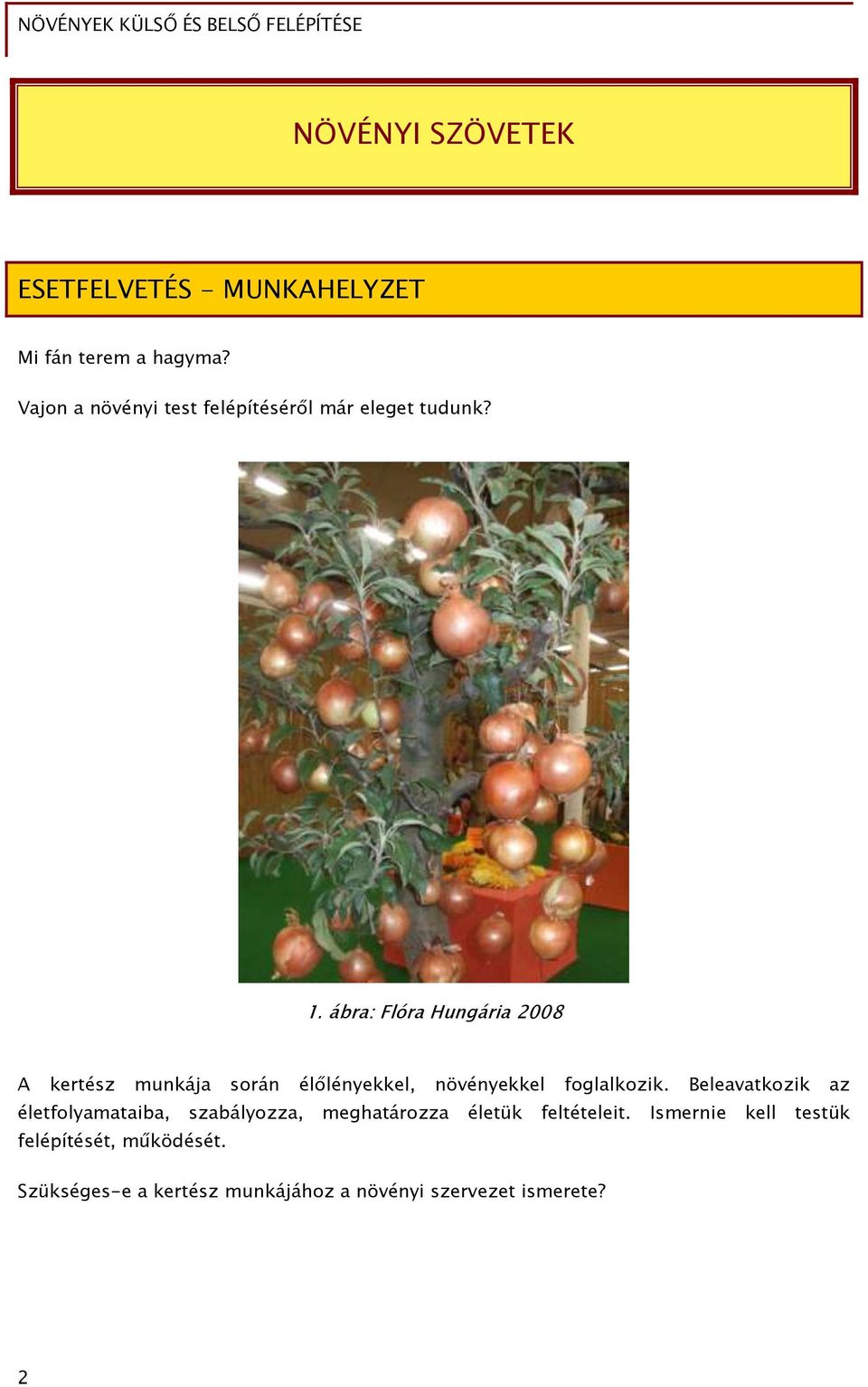 ábra: Flóra Hungária 2008 A kertész munkája során élőlényekkel, növényekkel foglalkozik.