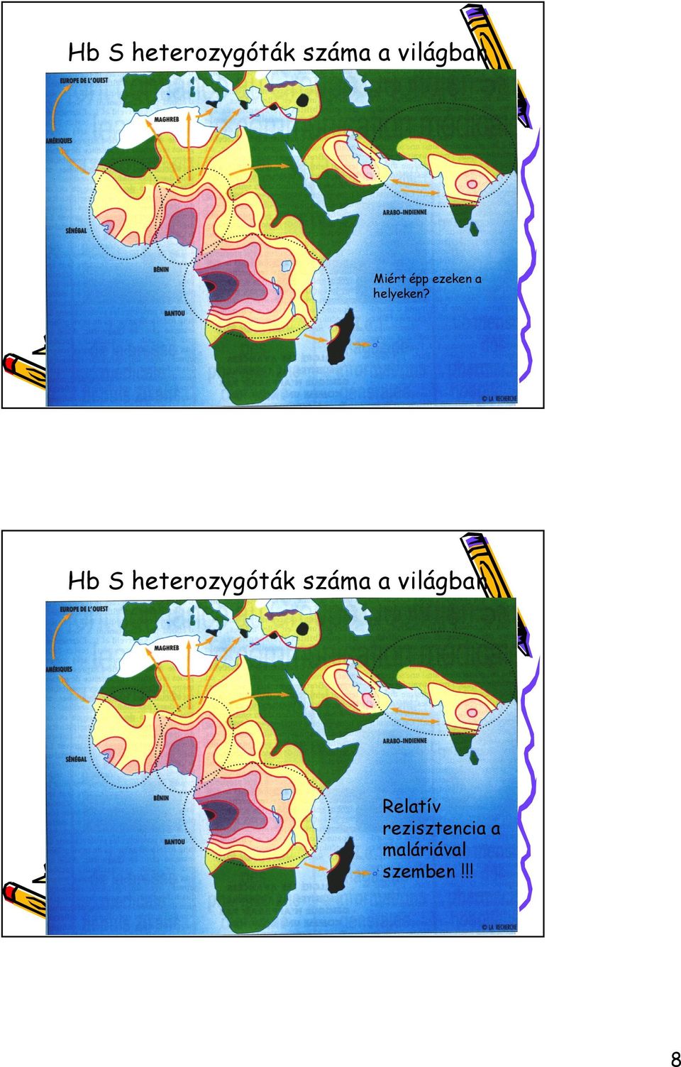 ppt 15 Hb S heterozygóták száma a világban Relatív