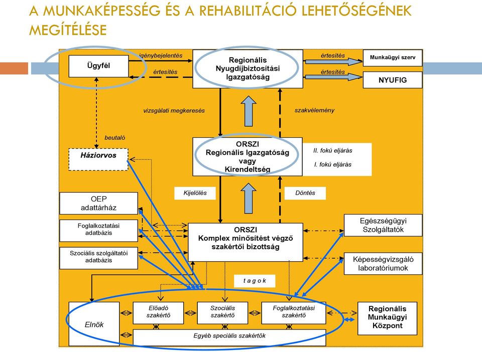 fokú eljárás OEP adattárház Foglalkoztatási adatbázis Szociális szolgáltatói adatbázis Kijelölés ORSZI Komplex minősítést végző szakértői bizottság t a g o k