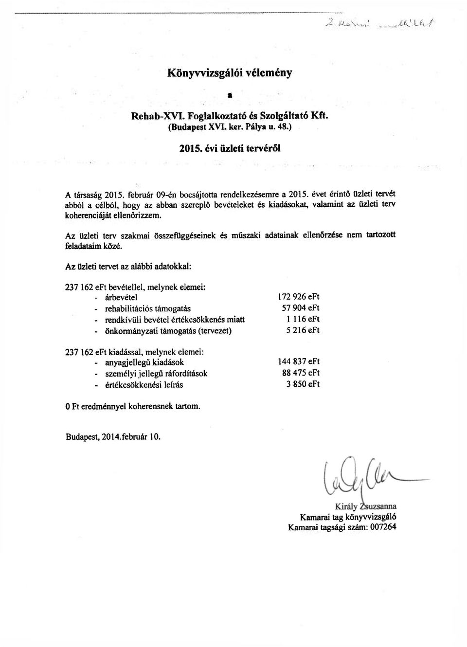 Az üzleti terv szakmai összefüggéseinek és műszaki adatainak ellenőrzése nem tartozott feladataim közé.