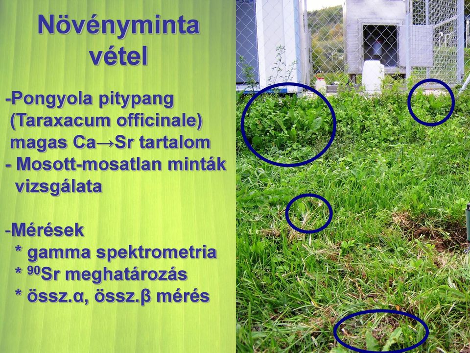 Mosott-mosatlan minták vizsgálata -Mérések *