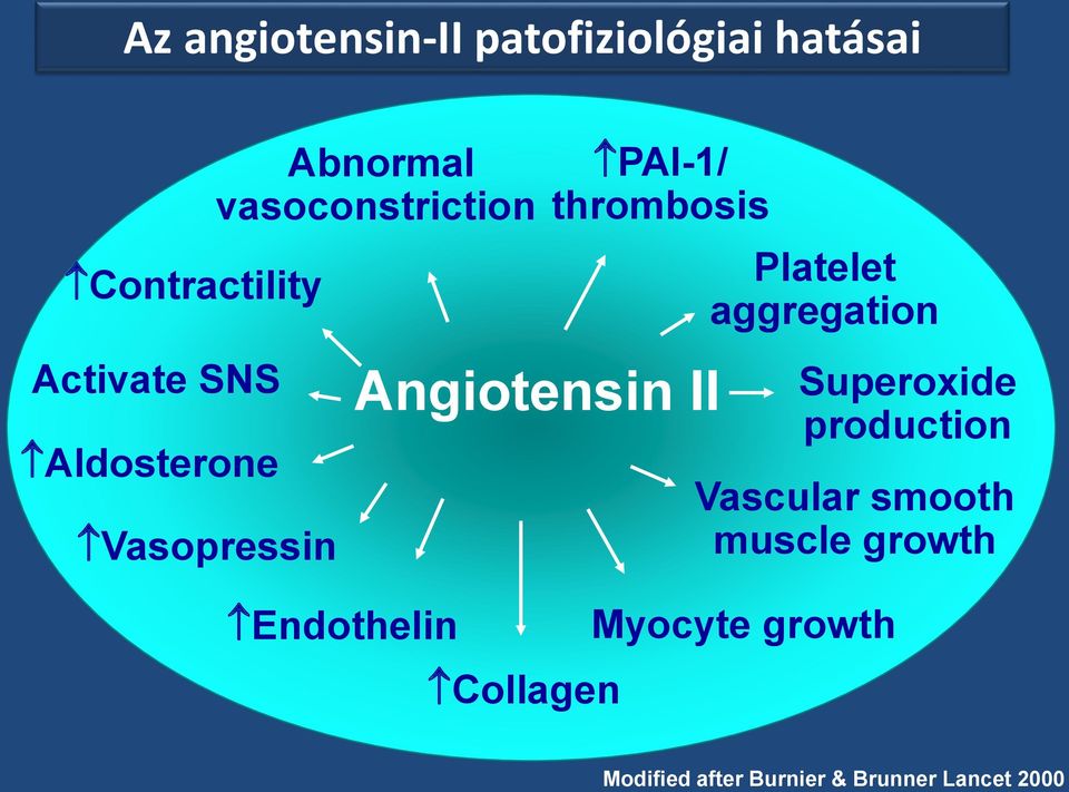 Collagen PAI-1/ thrombosis Platelet aggregation Superoxide production