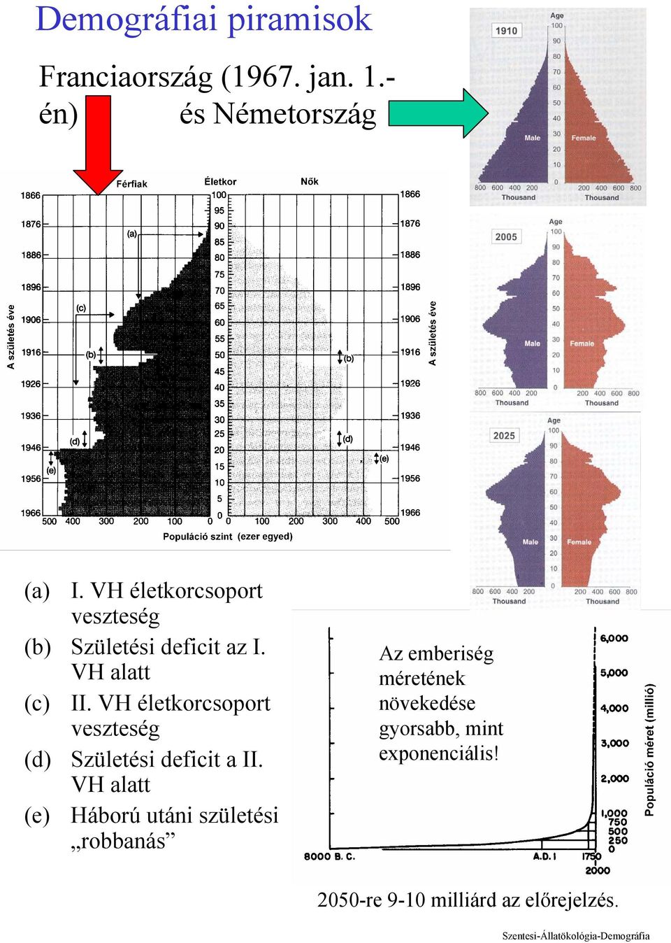 VH életkorcsoport veszteség (d) Születési deficit a II.