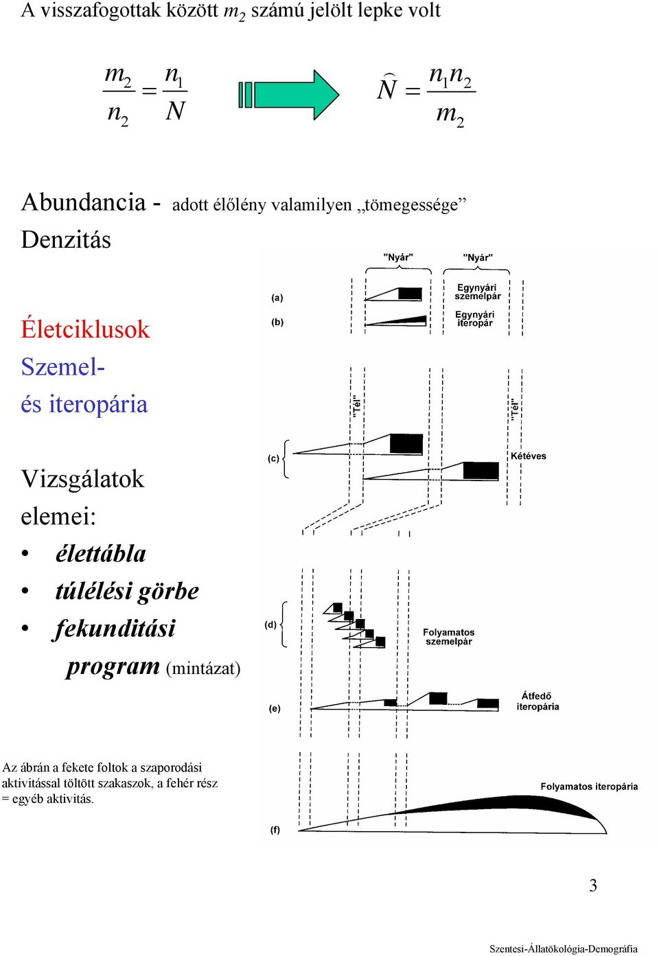 iteropária Vizsgálatok elemei: élettábla túlélési görbe fekunditási program (mintázat)