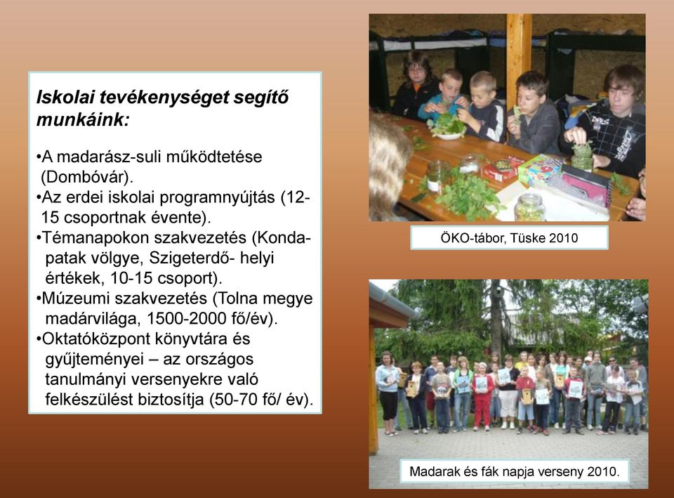 Témanapokon szakvezetés (Kondapatak völgye, Szigeterdő- helyi értékek, 10-15 csoport).