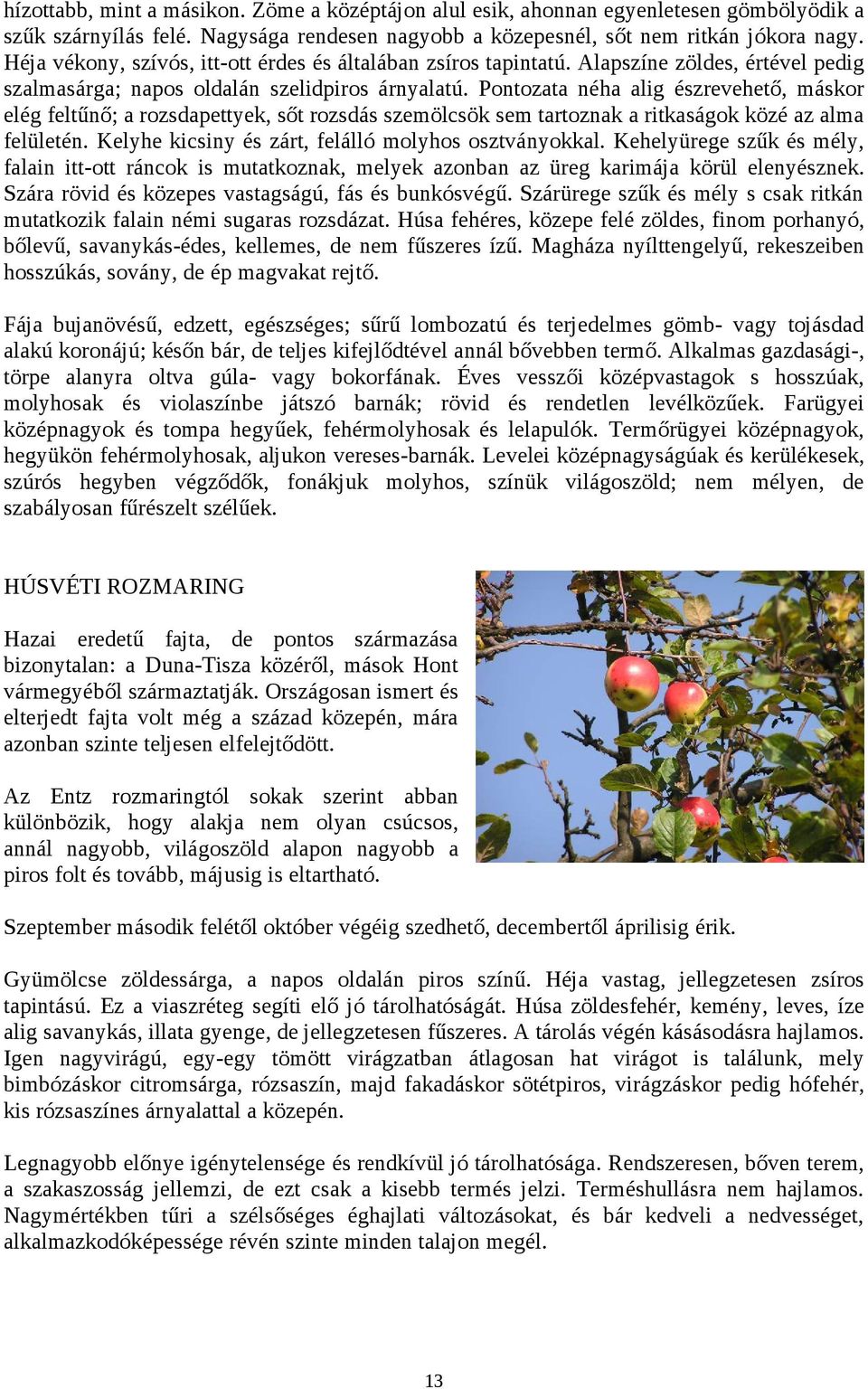 Pontozata néha alig észrevehető, máskor elég feltűnő; a rozsdapettyek, sőt rozsdás szemölcsök sem tartoznak a ritkaságok közé az alma felületén. Kelyhe kicsiny és zárt, felálló molyhos osztványokkal.