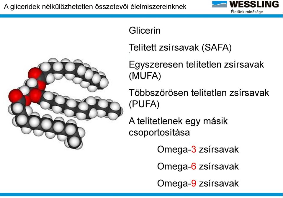 zsírsavak (MUFA) Többszörösen telítetlen zsírsavak (PUFA) A