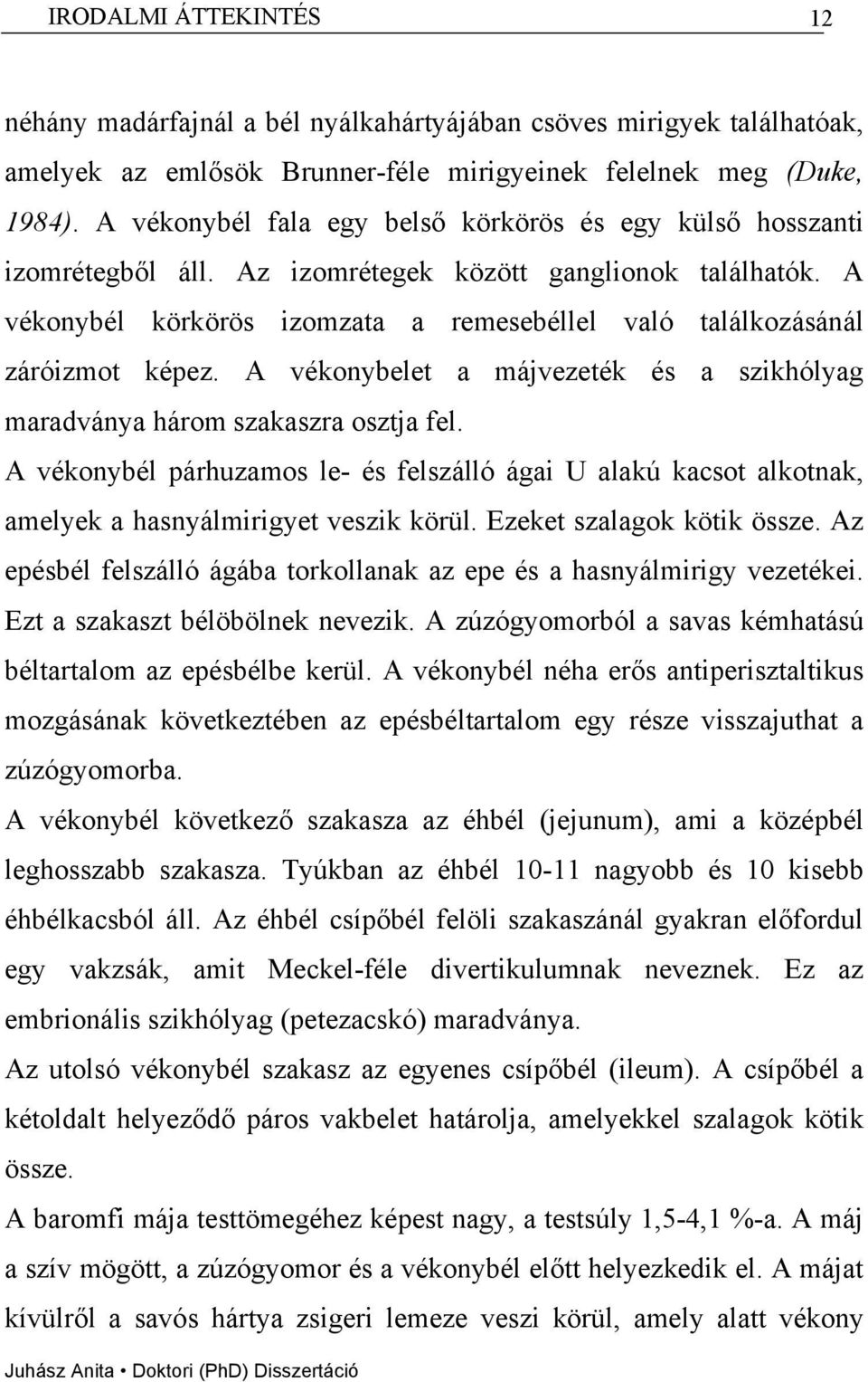 A vékonybél körkörös izomzata a remesebéllel való találkozásánál záróizmot képez. A vékonybelet a májvezeték és a szikhólyag maradványa három szakaszra osztja fel.