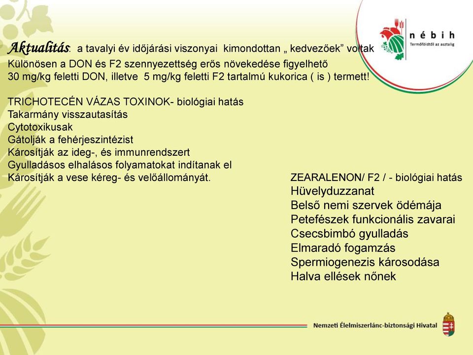 TRICHOTECÉN VÁZAS TOXINOK- biológiai hatás Takarmány visszautasítás Cytotoxikusak Gátolják a fehérjeszintézist Károsítják az ideg-, és immunrendszert Gyulladásos