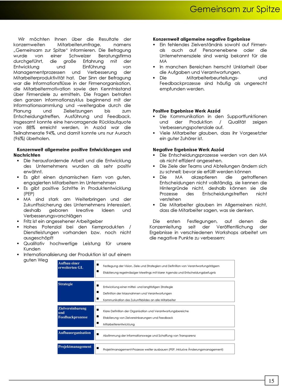 Der Sinn der Befragung war die Informationsflüsse in der Firmenorganisation, die Mitarbeitermotivation sowie den Kenntnisstand über Firmenziele zu ermitteln.
