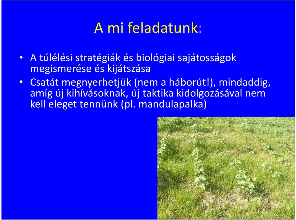 megnyerhetjük (nem a háborút!