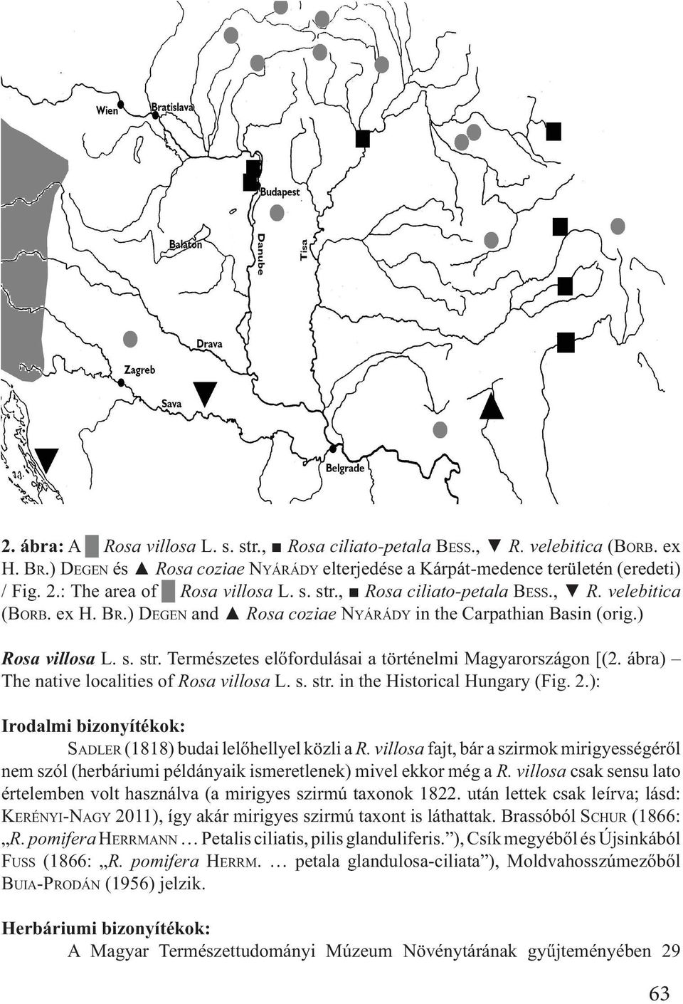 in the Historical Hungary (Fig. 2.): Irodalmi bizonyítékok: SADLER R. villosa nem szól (herbáriumi példányaik ismeretlenek) mivel ekkor még a R.