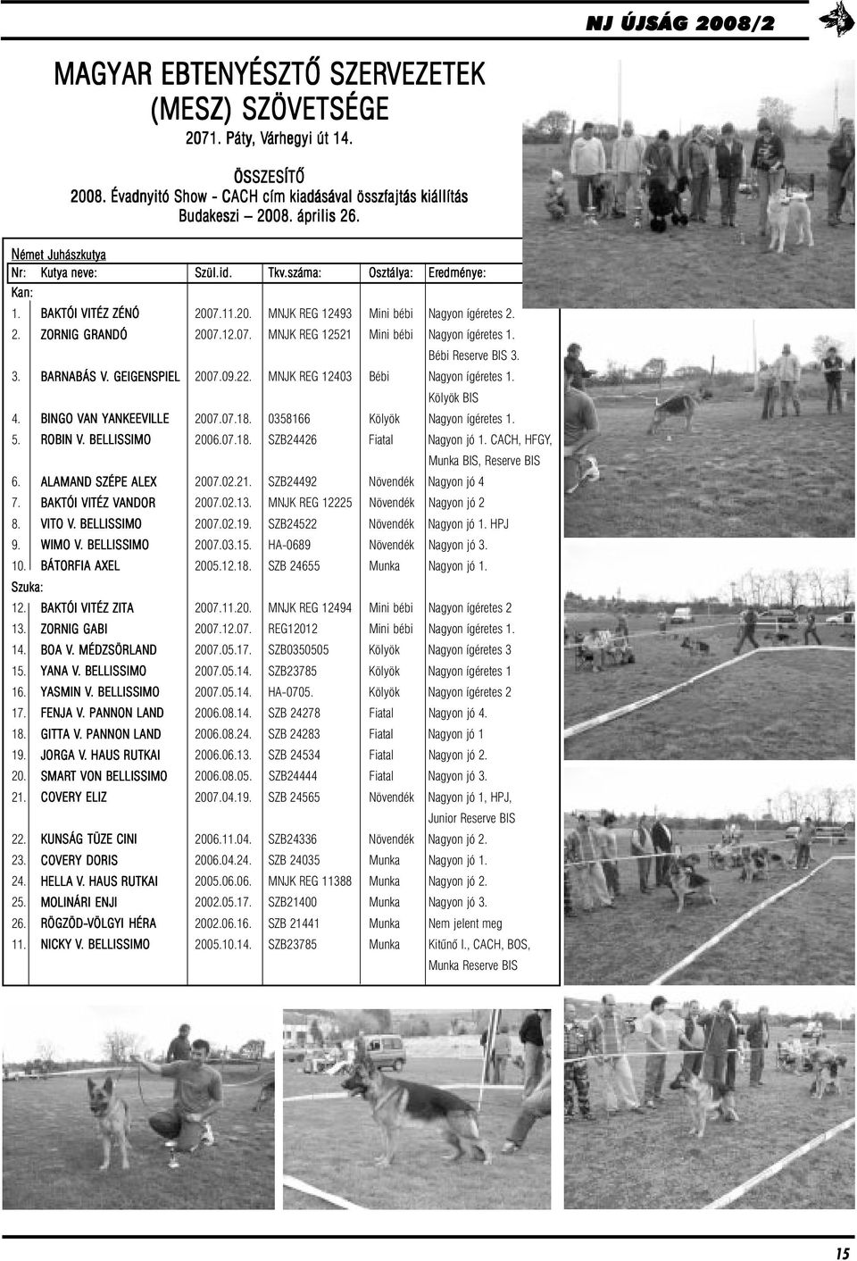 Bébi Reserve BIS 3. 3. BARNABÁS V.. GEIGENSPIEL 2007.09.22. MNJK REG 12403 Bébi Nagyon ígéretes 1. Kölyök BIS 4. BINGO VAN YANKEEVILLE 2007.07.18. 0358166 Kölyök Nagyon ígéretes 1. 5. ROBIN V.