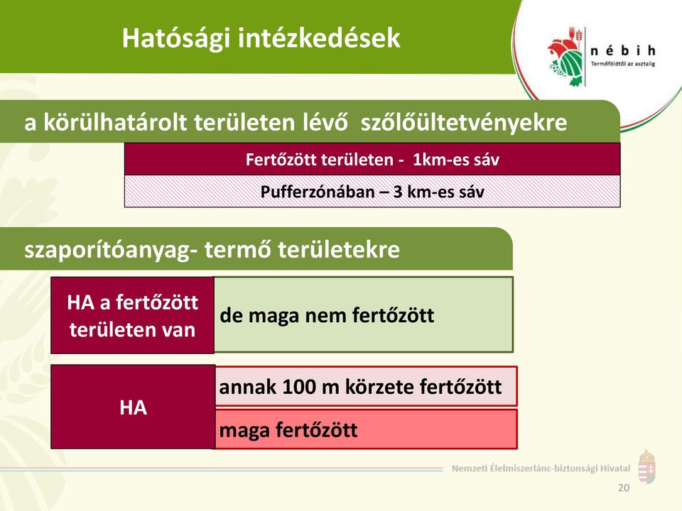 3 km-es sáv szaporítóanyag- termő területekre HA a fertőzött