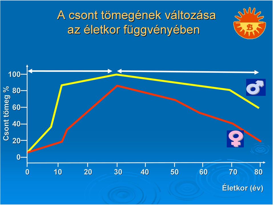 ggvényében 100 Csont tömeg % 80 60