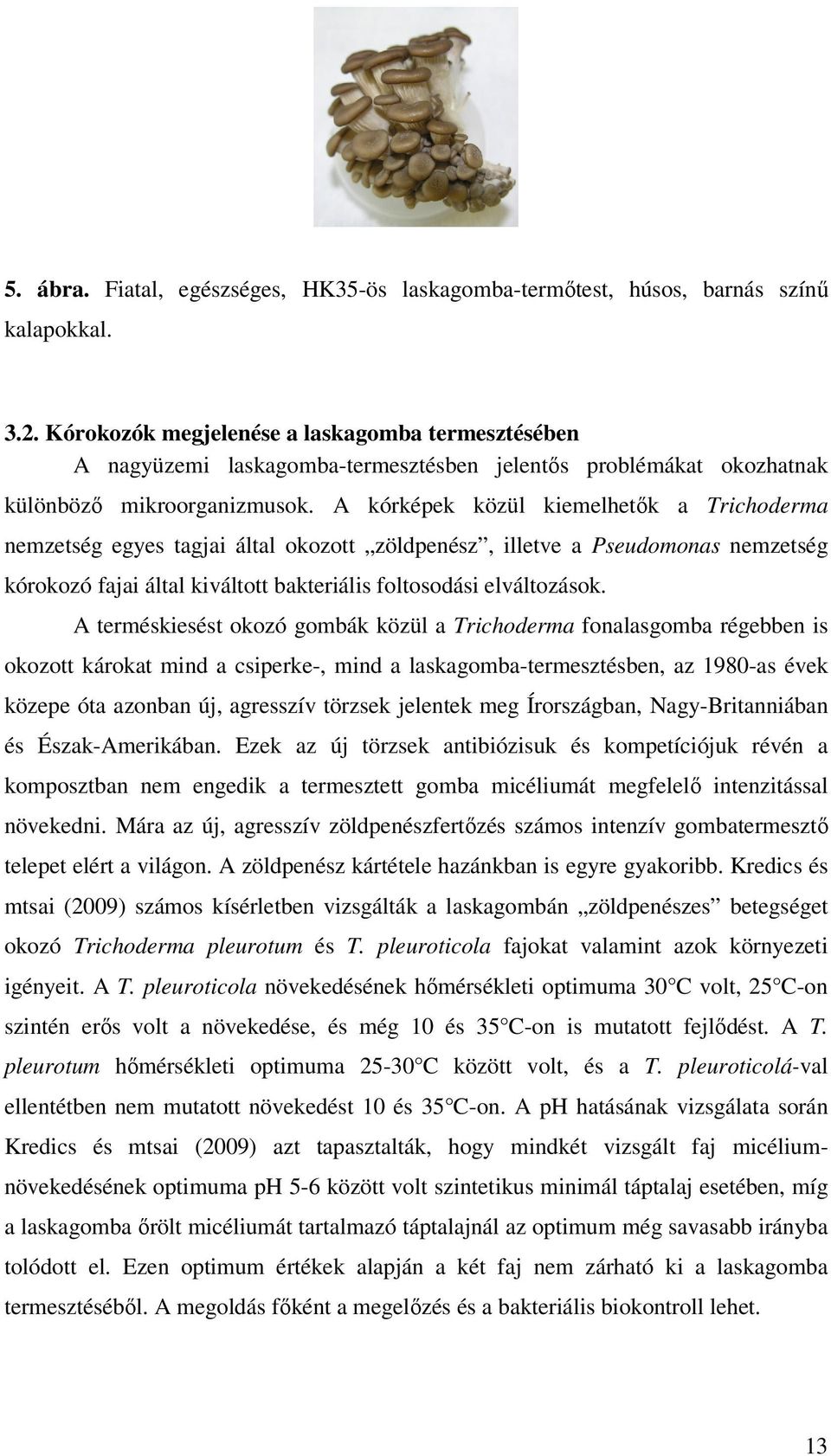 A kórképek közül kiemelhetık a Trichoderma nemzetség egyes tagjai által okozott zöldpenész, illetve a Pseudomonas nemzetség kórokozó fajai által kiváltott bakteriális foltosodási elváltozások.