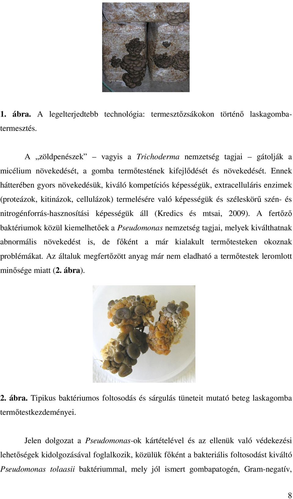 Ennek hátterében gyors növekedésük, kiváló kompetíciós képességük, extracelluláris enzimek (proteázok, kitinázok, cellulázok) termelésére való képességük és széleskörő szén- és