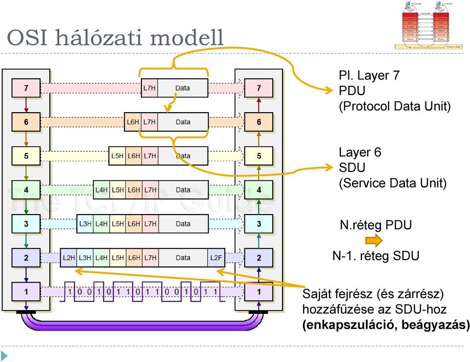 réteg SDU Saját fejrész (és zárrész)