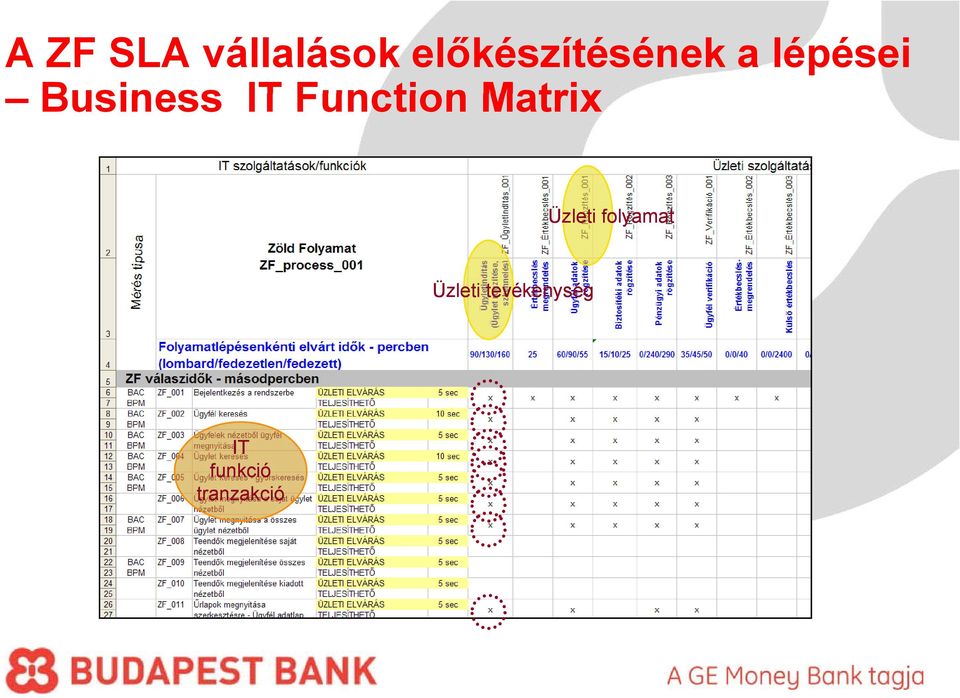 Business IT Function Matrix