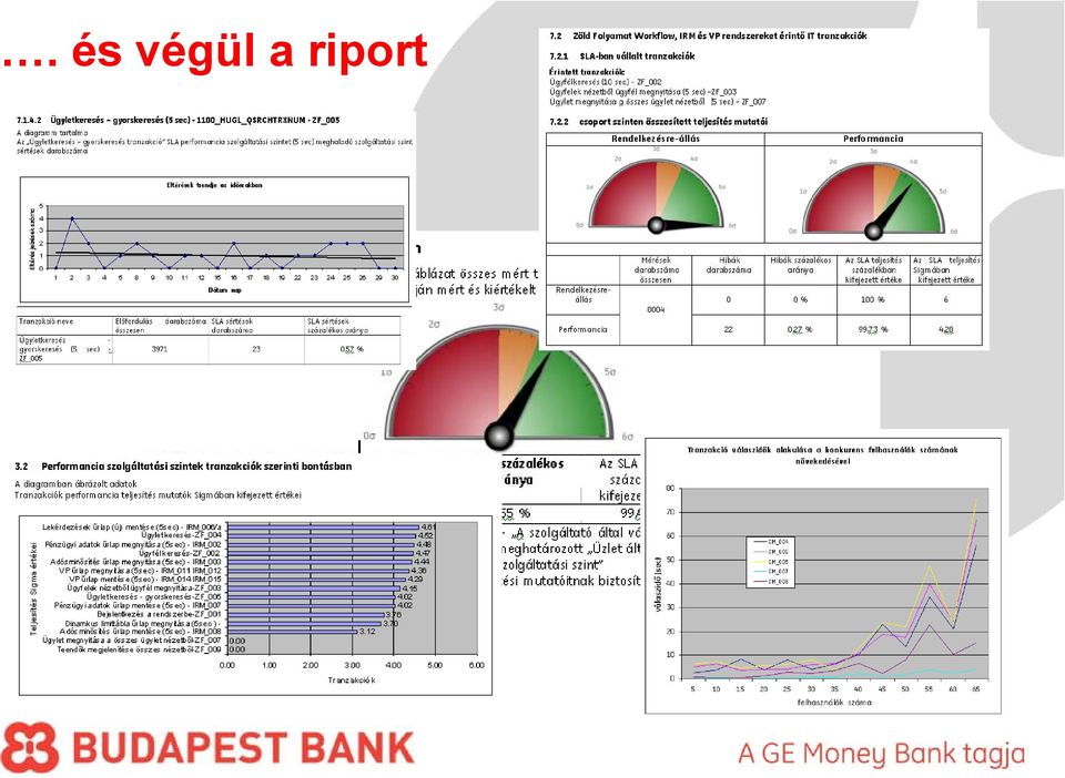 riport